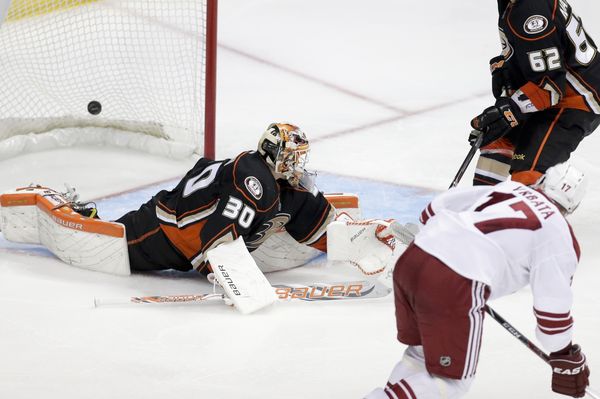 Radim Vrbata dává další gól do sítě Anaheimu. Radim Vrbata dává další gól do sítě Anaheimu.