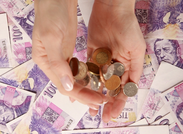 Stát loni na exekucích z mez získal dlužné daně za 177 milionů.