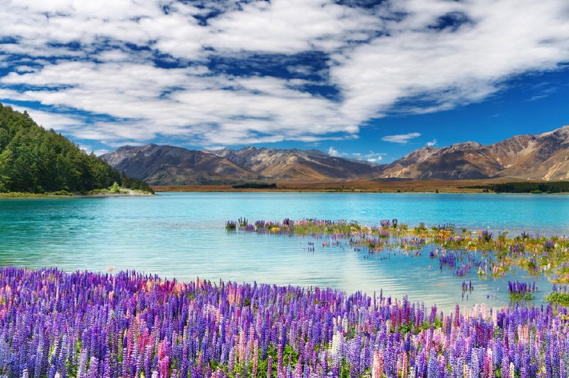 Jezero Tekapo, Nový Zéland. (Foto: Onebigphoto.com)