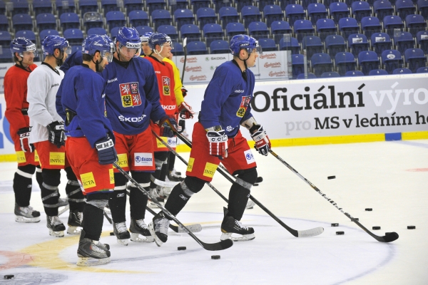 Národní tým má na své soupisce pro MS 10 hráčů z NHL.
