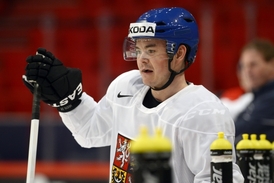 Mezi posilami z NHL nechybí ani útočník Jiří Hudler.