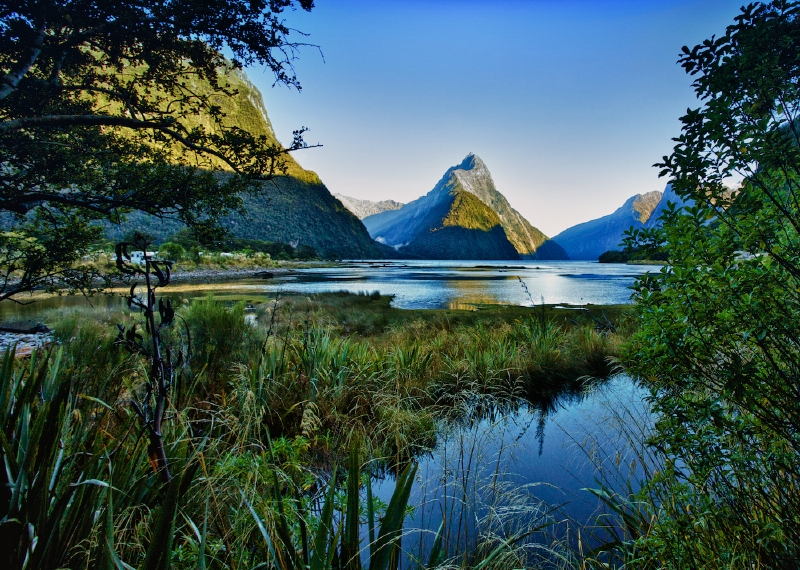 Národní park Fiordland, Nový Zéland. (Foto: Scribblesnz.com)