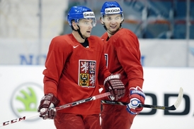 Radim Vrbata a Martin Hanzal formu na MS zatím hledají marně.
