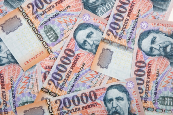 Deník musí zaplatit 250 tisíc forintů (ilustrační foto).