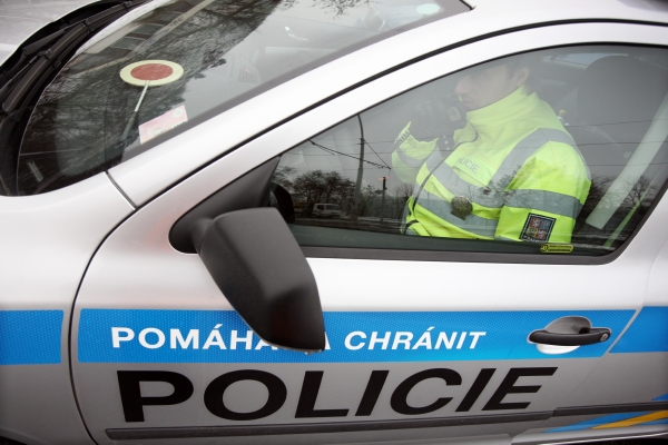 Po řidiči kradeného auta nyní pátrají desítky policistů, v terénu jsou i psi (ilustrační foto).