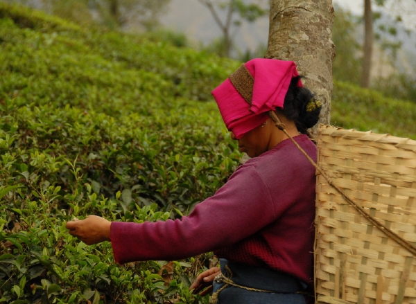 Fair trade je způsob obchodu, který poskytuje pěstitelům, řemeslníkům a zaměstnancům z rozvojových zemí Afriky, Asie a Latinské Ameriky možnost uživit se vlastní prací. Fair trade je způsob obchodu, který poskytuje pěstitelům, řemeslníkům a zaměstnancům z rozvojových zemí Afriky, Asie a Latinské Ameriky možnost uživit se vlastní prací.