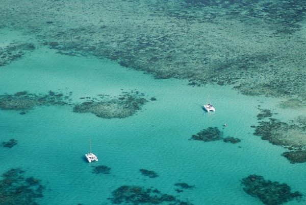 Velký bariérový útes u pobřeží Austrálie.