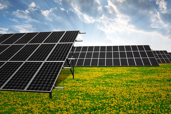 Solární elektrárny zřejmě budou muset zveřejnit své vlastníky.
