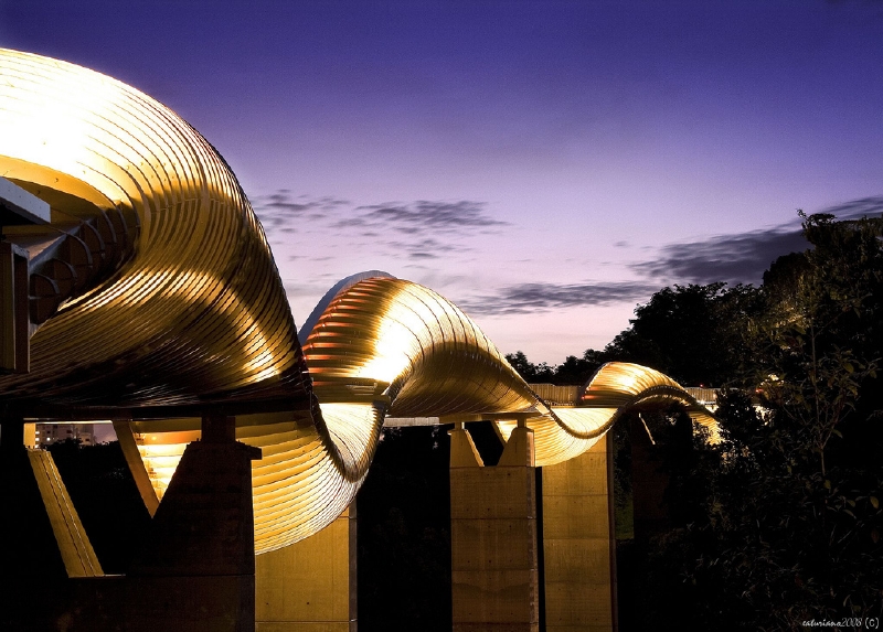 Henderson Waves, Singapur. (Foto: Skyscrapercity.com)
