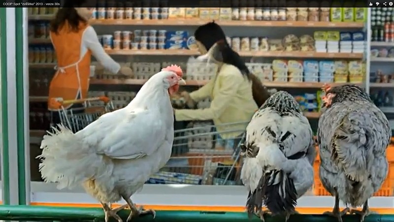 Reklama Coop.