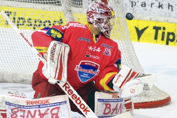 V krajním případě může hokejová extraliga v českých Budějovicích skončit.