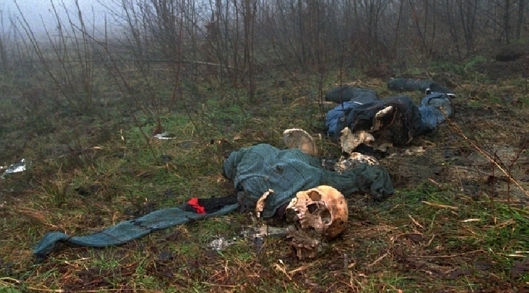 Z okolí Srebrenice roku 1997.