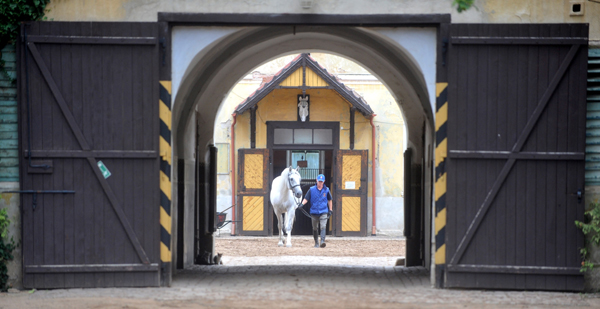 Národní hřebčín v Kladrubech nad Labem.