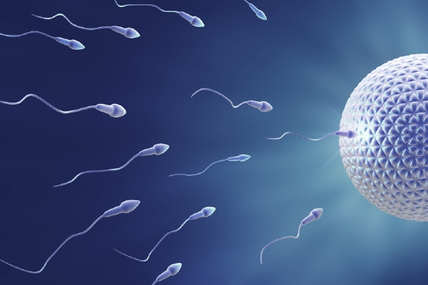 Kvalitu spermií mohou zhoršit vrozené vady, infekce či úrazy (ilustrační foto).