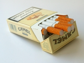 V poslední době roste i počet padělaných cigaretových značek (ilustrační foto).