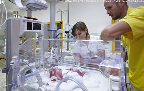 První česká paterčata velmi dobře prospívají.