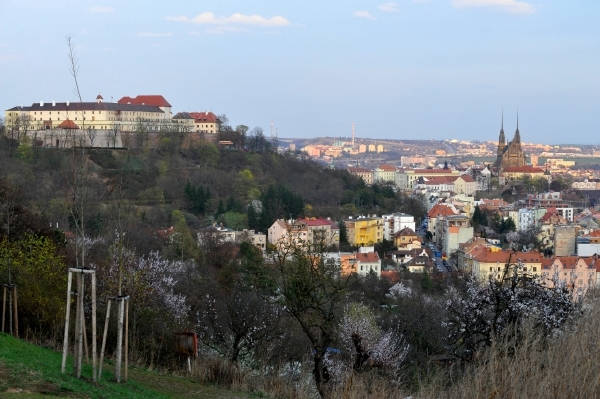 Brno v létě ovládne hudba.