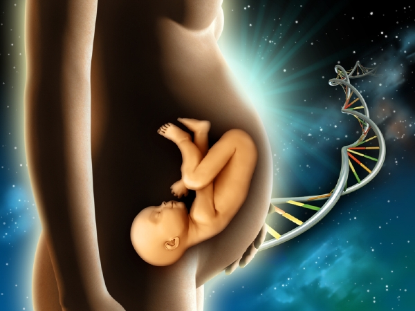 DNA rodičů by sloužila k vytvoření zdravého embrya (ilustrační foto).