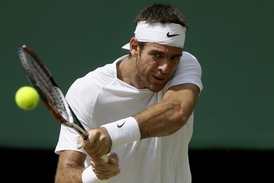 Juan Martín del Potro.