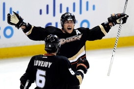 Finský blesk Teemu Selänne bude zřejmě pokračovat v Anaheimu.
