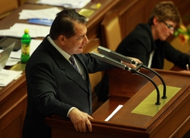 Expremiér Jiří Paroubek.