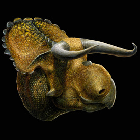 Představa umělce o vizáži nového dinosaura.
