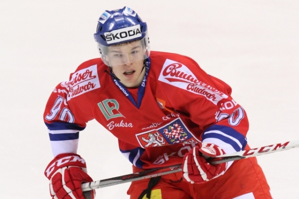 Reprezentační útočník Tomáš Hertl.