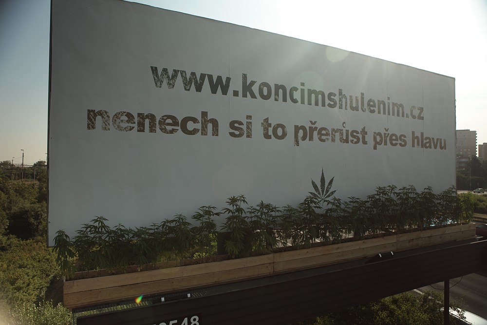 Reklama od agentury DDB v Praze na Jižní spojce postupně zarůstá konopím.