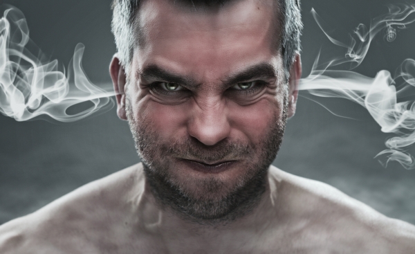 S rostoucí teplotou vzrůstá i agresivita jedince (ilustrační foto). S rostoucí teplotou vzrůstá i agresivita jedince (ilustrační foto).
