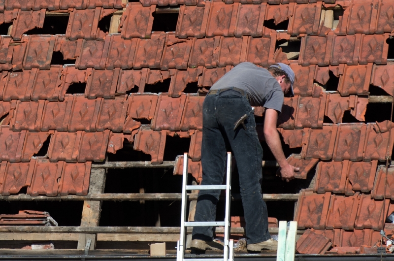 Polámané větve nebo kroupy mohou poškodit střechy domů. Polámané větve nebo kroupy mohou poškodit střechy domů.