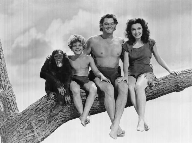 Tarzan, jane a spol. (ilustrační foto).