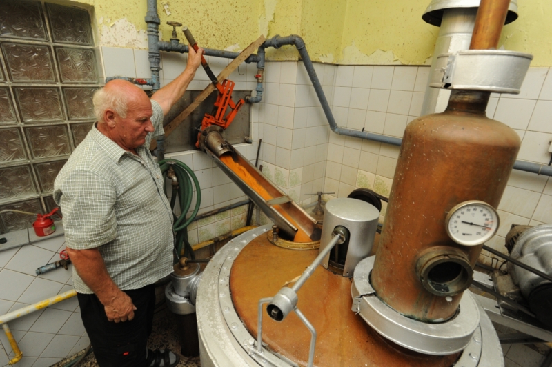V letošním roce byla nadúroda meruněk, milovníci meruňkovice si přijdou na své. V letošním roce byla nadúroda meruněk, milovníci meruňkovice si přijdou na své.