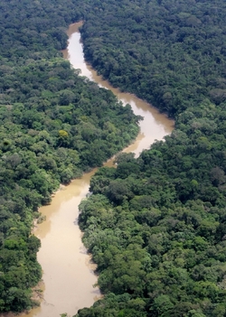 Amazonie, zelené plíce planety.