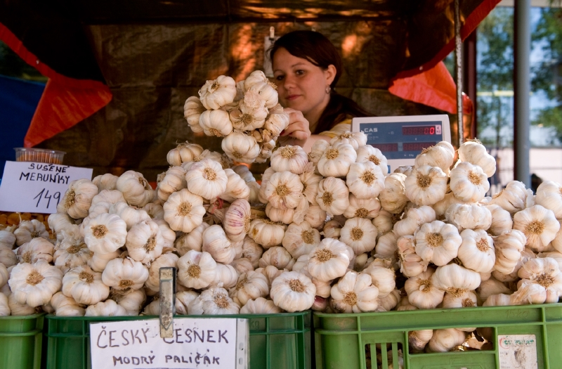 Na českobudějovickém výstavišti začíná již 40. agrosalon Země živitelka. Na českobudějovickém výstavišti začíná již 40. agrosalon Země živitelka.