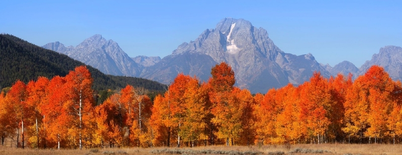 Jackson Hole, Wyoming, USA. (Foto: Profimedia.cz)