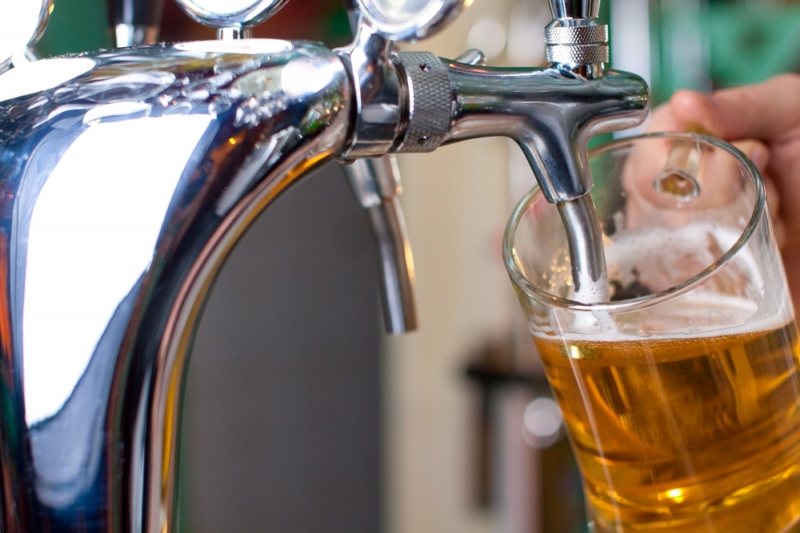 Pilsner Festu se účastnili zástupci osmi zemí (ilustrační foto). Pilsner Festu se účastnili zástupci osmi zemí (ilustrační foto).