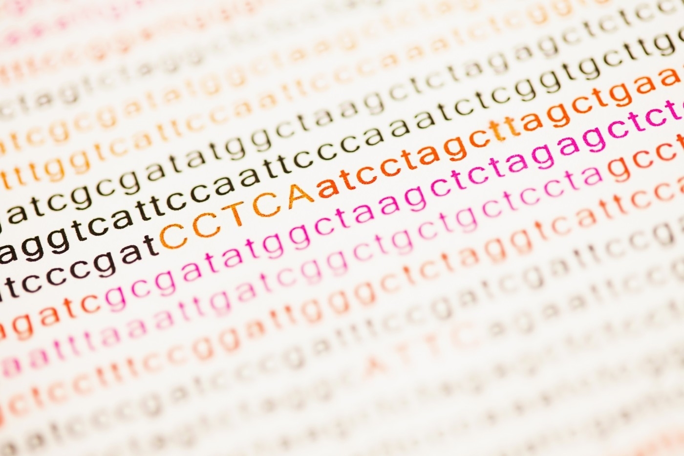 Geneticky kód.