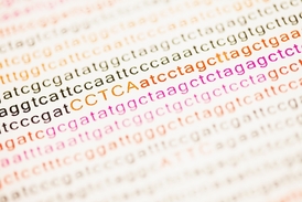 Geneticky kód.
