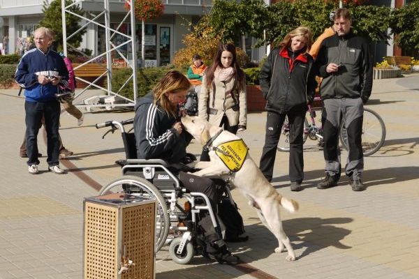 Akce Den zdraví se zúčastnili i handicapovaní. Akce Den zdraví se zúčastnili i handicapovaní.