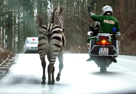 STOP. Cože, překročení povolené rychlosti jen s jedním koněm pod kapotou? 