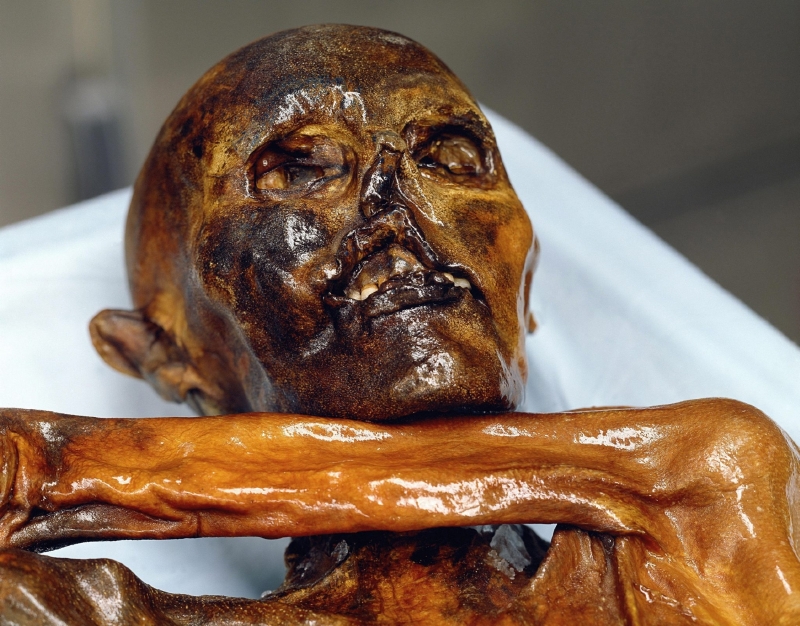 Měl radši vídeňský řízek nebo makaróny? Měl radši vídeňský řízek nebo makaróny?