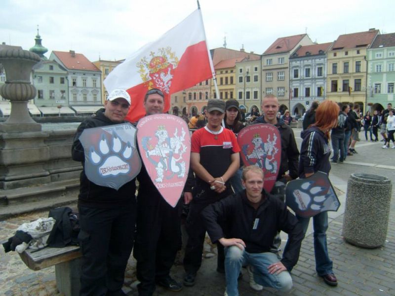 Čeští lvi na demonstraci v Českých Budějovicích.