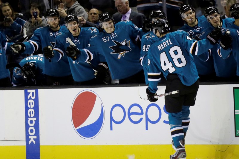 Tomáš Hertl má za sebou úspěšný debut.