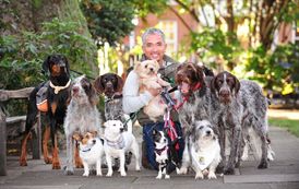 Cesar Millan je jedním z nejlepším světových odborníků na psí chování. Na kanálu National Geographic má vlastní show Dog Whisperer.