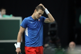 Tomáš Berdych prý při utkání podrobné debaty s kapitánem nemusí.