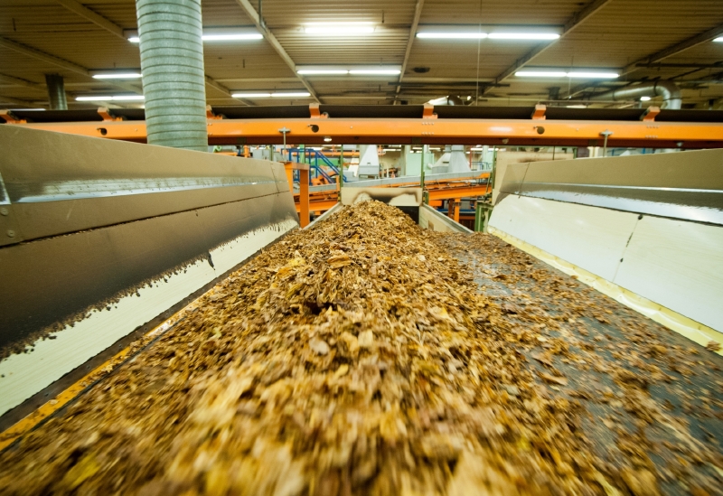 Mezinárodní skupina legálně dovážela tabákové listy, které následně zpracovávala a distribuovala dále. "Zapomněla" však na zaplacení spotřební daně (ilustrační foto). 