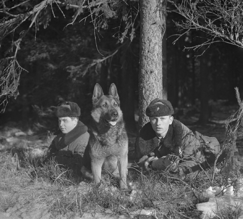 Na stráži míru. Českoslovenští pohraničníci roku 1963.