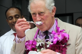 Královnu letos na summitu zastoupil princ Charles.