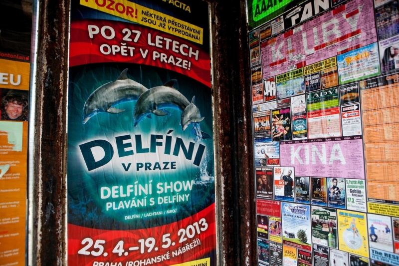 Akce Delfíni v Praze se měla původně konat v dubnu na Rohanském nábřeží.