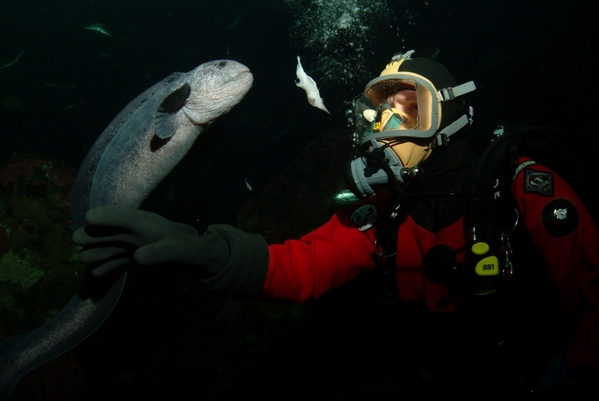 Nigel Marven se vydává i pod hladinu oceánu.
